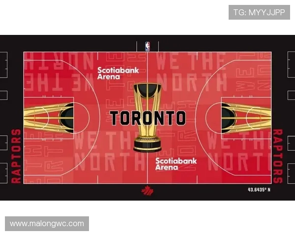 艺术家所罗门操刀！NBA 杯 30 队定制地板惊艳曝光